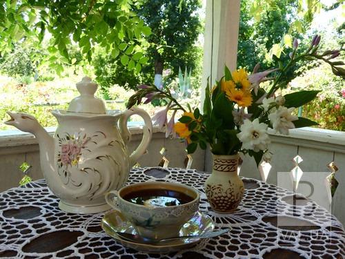 Музей Коцюбинского приглашает на экскурсию с чаепитием. ФОТО