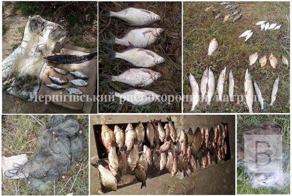 На Чернігівщині у браконьєрів вилучено 419 кг незаконно добутої риби