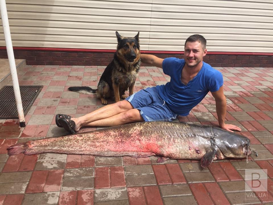Рыбалка в Десне поймал огромного сома. ФОТОфакт