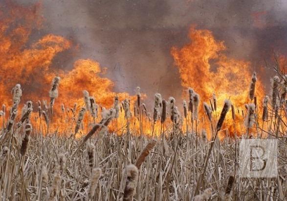 Жителів Чернігівщини попереджають про пожежну небезпеку