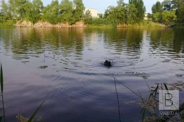 На Чернігівщині в озері знайшли тіло 78-річного чоловіка
