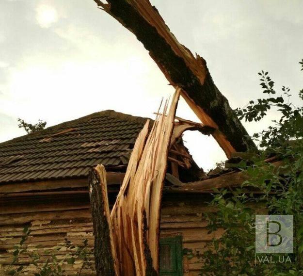 Буревій на Чернігівщині: пошкоджено школи, житлові будинки та господарчі будівлі. ФОТО
