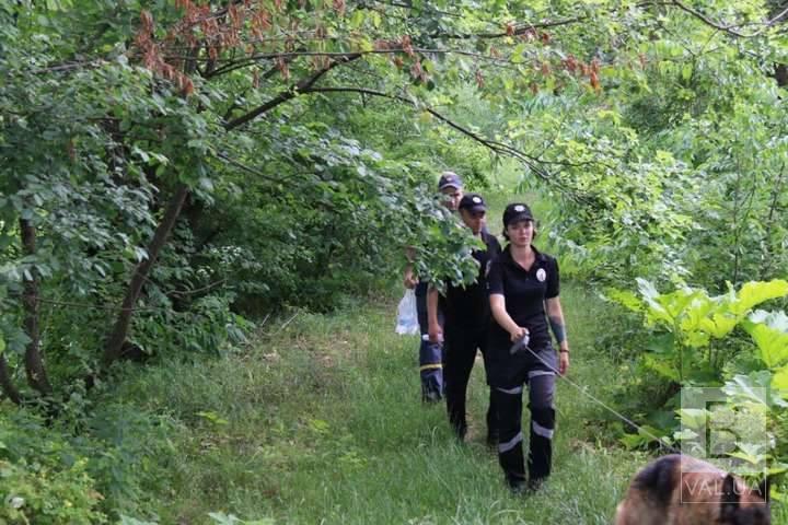 У Куликівському районі майже добу шукали зниклу 52-річну жінку