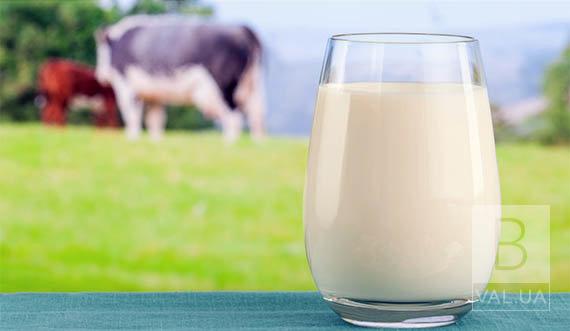 В Чернигове состоится V юбилейный «Фестиваль молока - 2019»