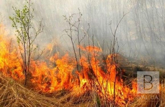 На Чернігівщині чоловік підпалив сидіння автомобіля заради металу, а згоріли чагарники