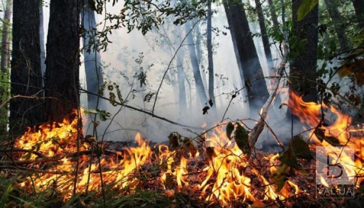 Чернігівщині протягом трьох діб загрожує пожежна небезпека найвищого класу