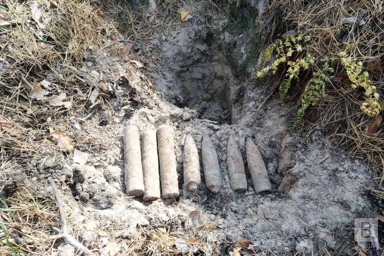 На территории Козелецкого района пиротехники уничтожили 7 артиллерийских снарядов. ФОТО