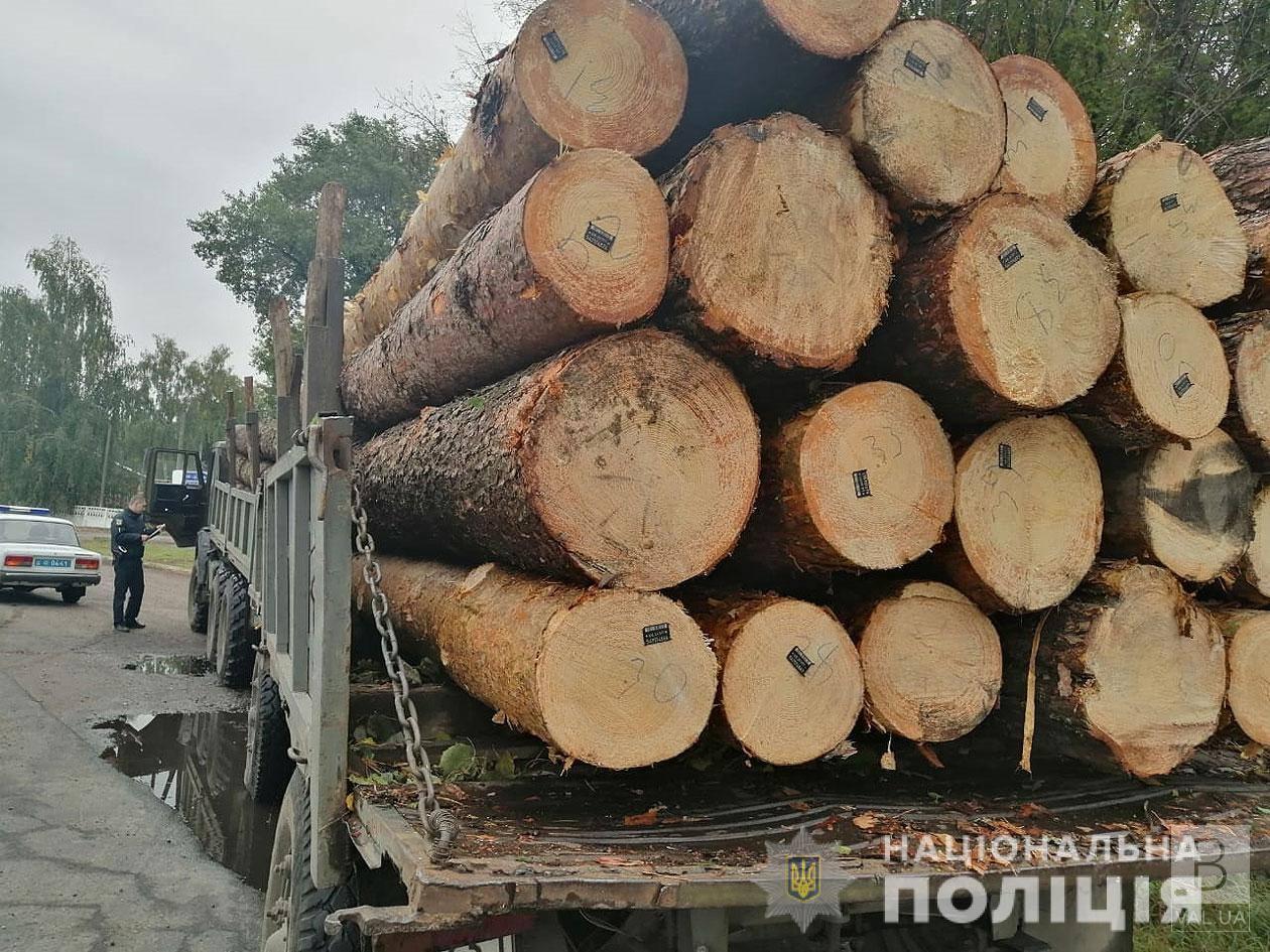 Неравнодушных граждан просят сообщать о фактах хищения леса на Черниговщине