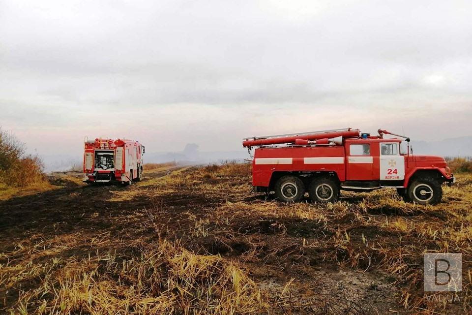 На Черниговщине пожарные продолжают ликвидировать пожары на торфяниках. ФОТО