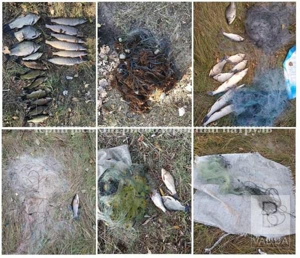 На Чернігівщині за тиждень браконьєри «нарибали» 58 кг риби