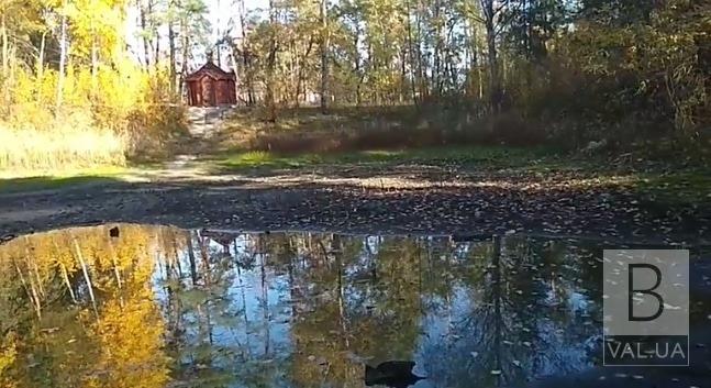 Озеро, в якому хрестили чернігівців, майже висохло ФОТОфакт