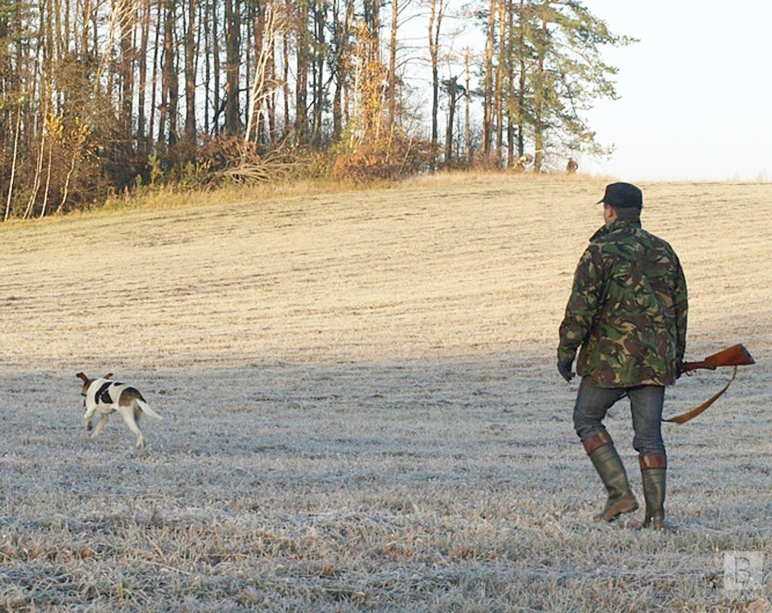 На Чернігівщині відкрився сезон полювання на хутрових тварин