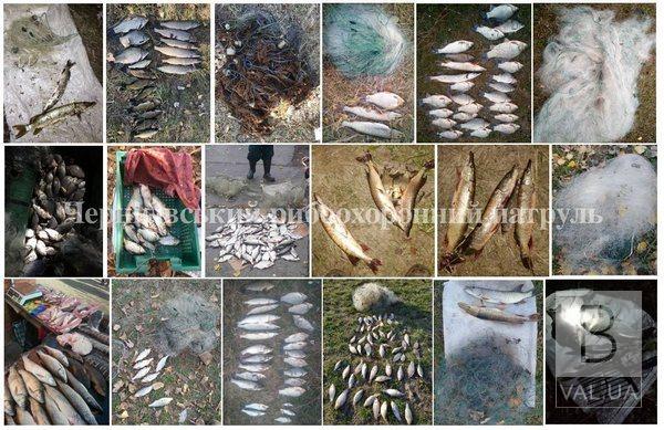 В течение октября браконьеры «нарибалили» почти на 18 тысяч гривен 