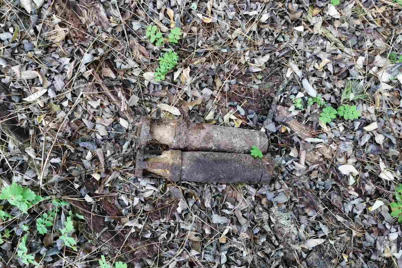 В Семеновском районе грибники нашли артиллерийские снаряды. ФОТО