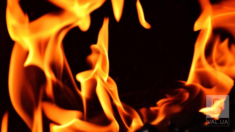 В Козелецком районе пожар уничтожил дом, два сарая и скот