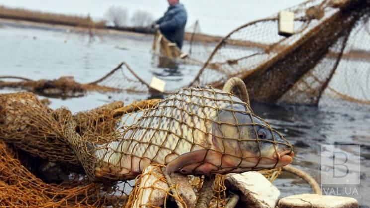 Черниговца наказали за незаконную рыбалку на Стрижне
