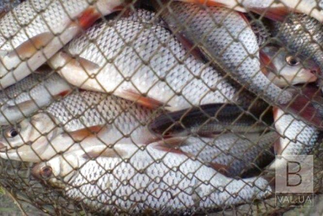 28 протоколов и свыше 12 тысяч гривен убытков: рыбоохранный патруль подвел итоги недели
