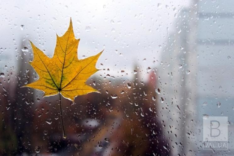 Дуже холодно і сильний вітер: синоптик про погоду на 21 листопада