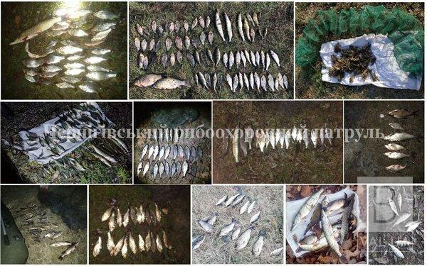На Черниговщине в течение ноября у браконьеров изъяли 238 кг рыбы
