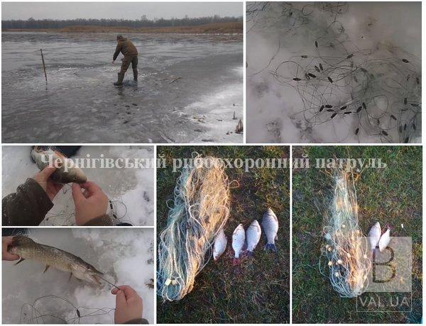 В течение недели на Черниговщине у браконьеров изъяли 30 кг рыбы