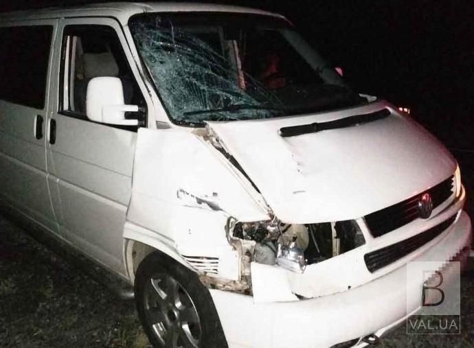 У Бобровицькому районі мікроавтобус збив жінку