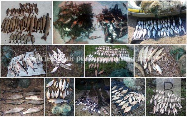 3 тонни риби та майже 2 тис. заборонених знарядь лову: підсумки роботи рибохоронного патруля за рік. ФОТО