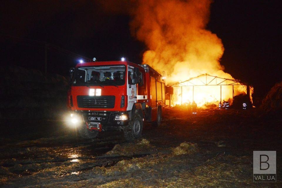 Пожар навеса для хранения сена в Козелецком районе: пожарные рассказали подробности. ФОТО
