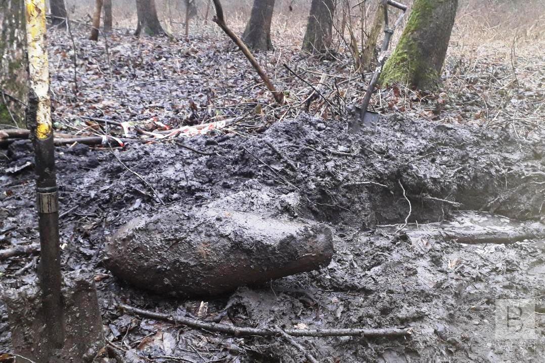  На Прилуччині місцеві знайшли в лісі дві авіаційно-осколкові бомби та мінометну міну. ФОТО