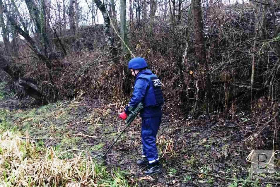 В лесу на Борзнянщине нашли авиационную бомбу