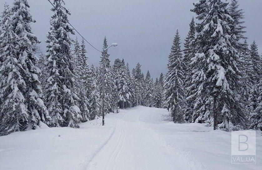Де на Чернігівщині випало найбільше снігу