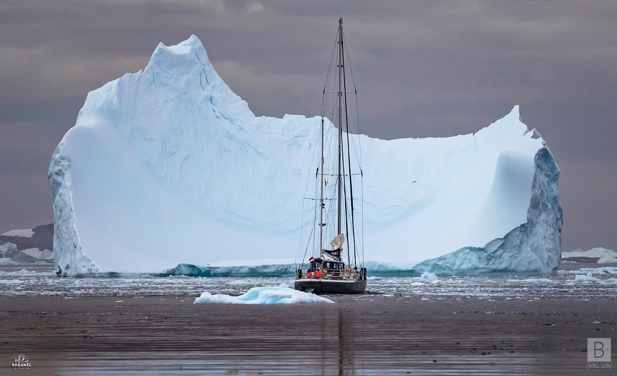  Чернігівець на яхті доплив до Антарктиди. ФОТО 