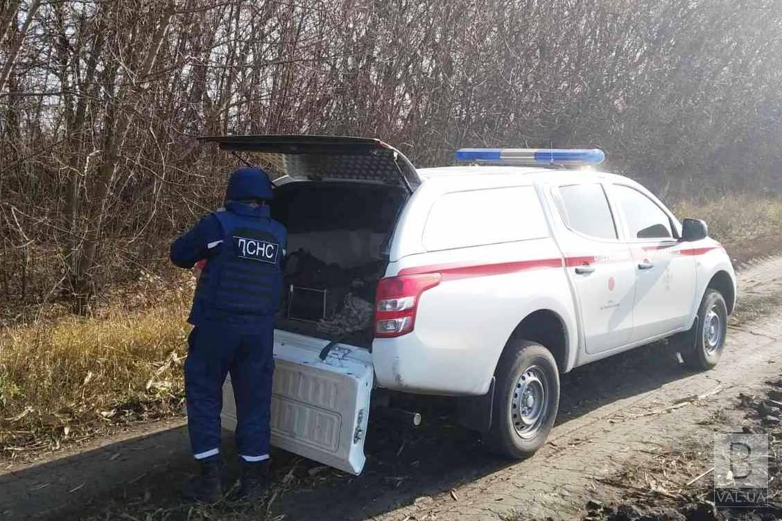 Пошуковці виявили в лісі на Козелеччині боєприпаси 