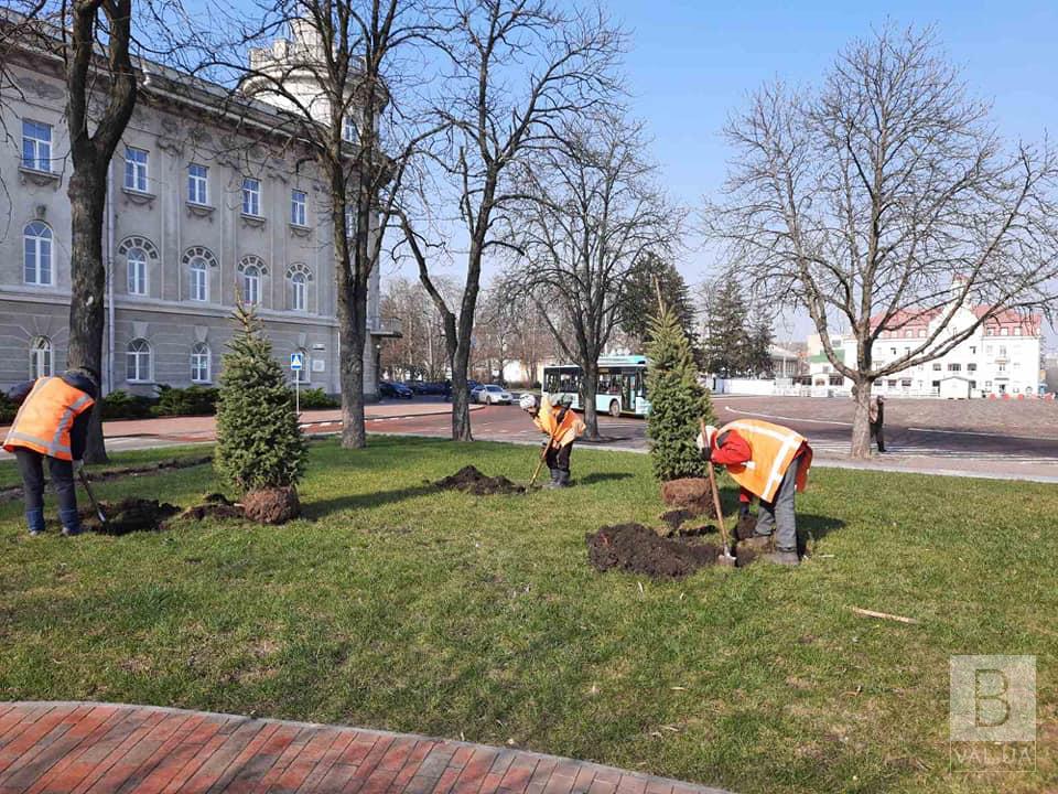 Черниговские коммунальщики наводят порядок на зеленых зонах. ФОТО