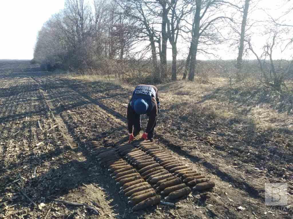 На Чернігівщині знищили 86 одиниць вибухонебезпечних предметів часів Другої світової війни. ФОТО