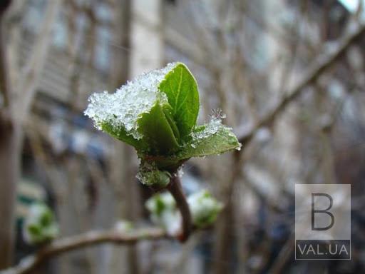 Нічні морози та мокрий сніг вдень: синоптик розповіла про погоду на останні дні березня