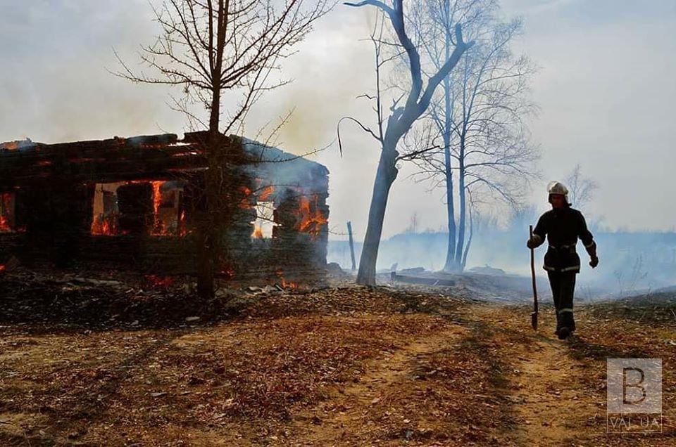 На Черниговщине пожарные ликвидировали пожар в лесном селе. ФОТО