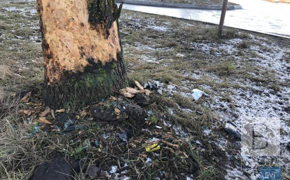Неподалеку Чернигова 44-летний водитель влетел в дерево