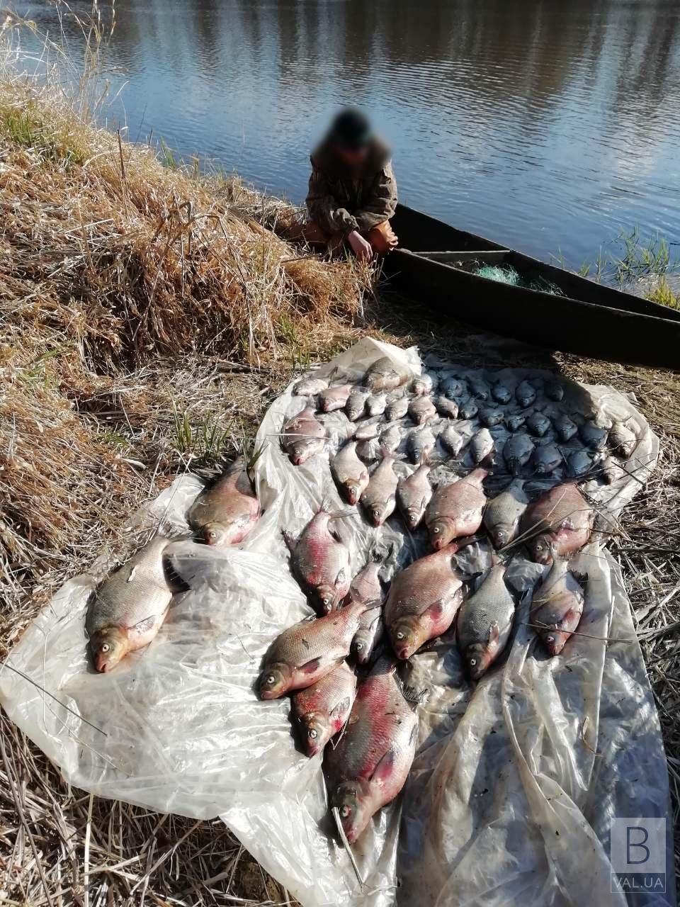 Біля Количівки спіймали браконьєрів із 40 кг незаконної риби