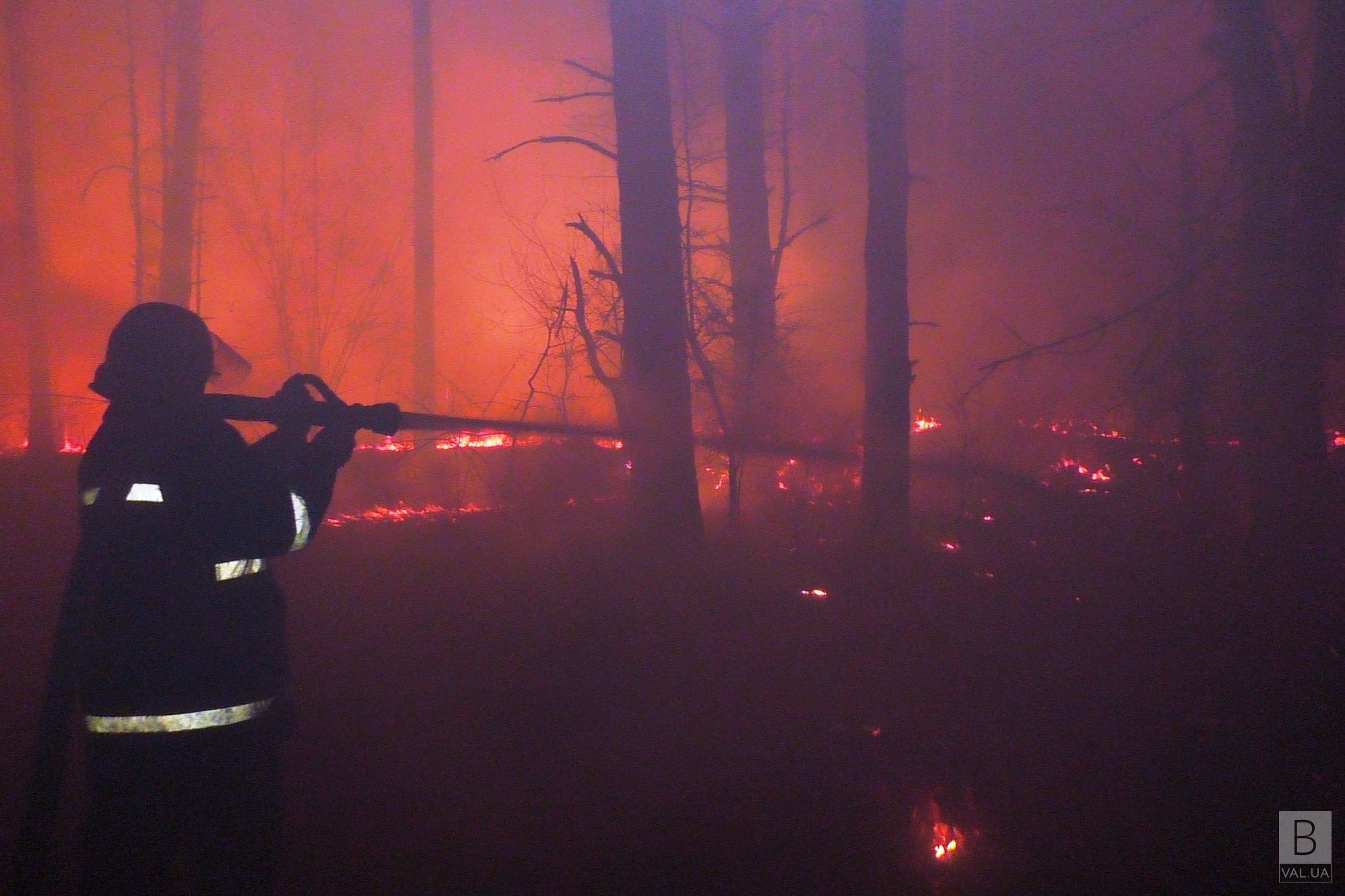 На Козелеччині масштабна пожежа лісу: до гасіння задіяні 3 літаки. ФОТО