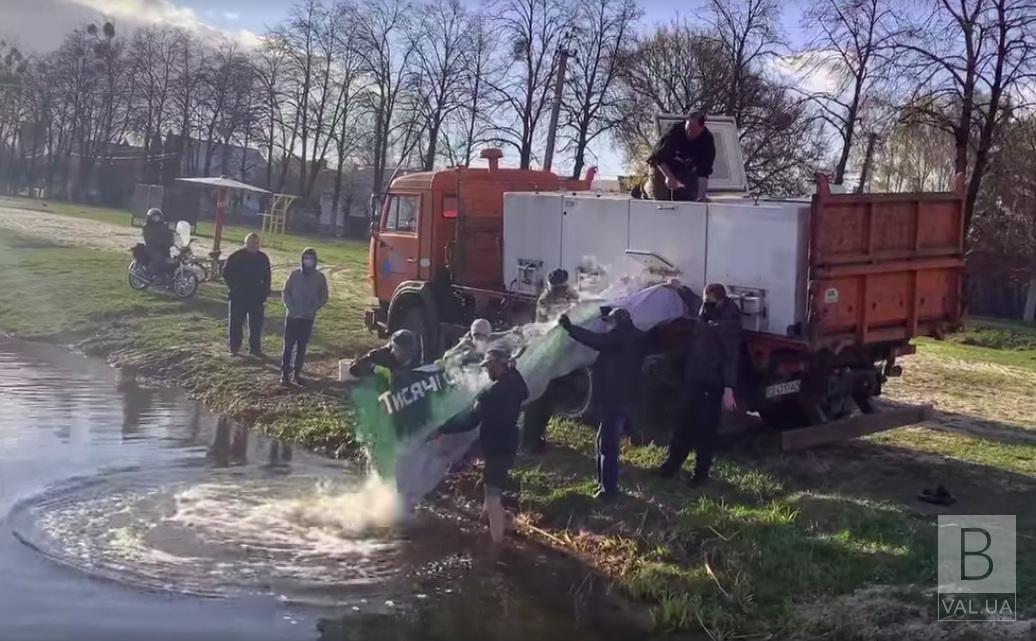 Водойми Корюківщини поповнились рибками-меліораторами. ФОТОфакт