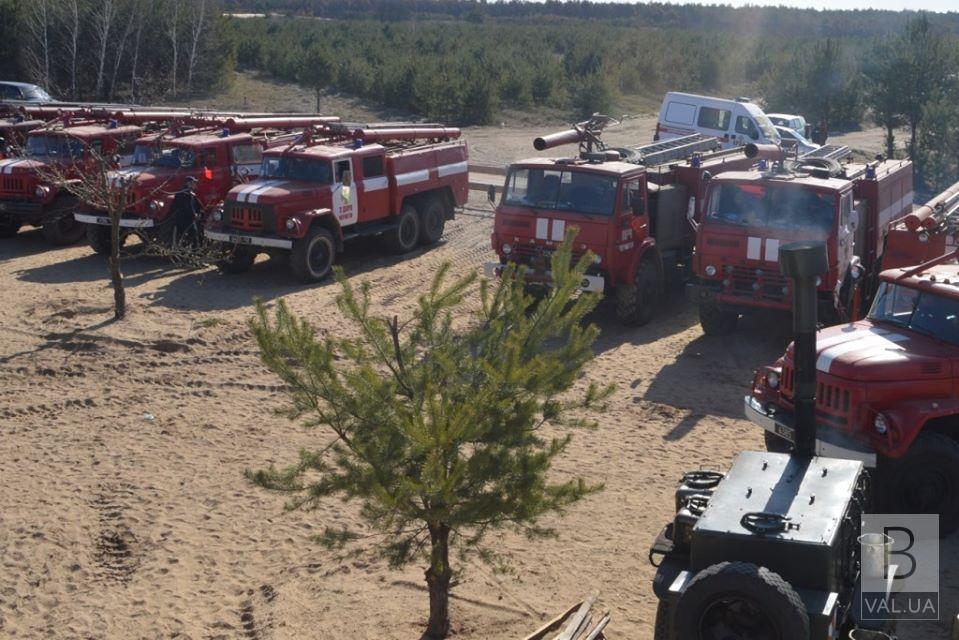 Масштабный пожар леса вблизи с. Сорокошичи локализован. ФОТО
