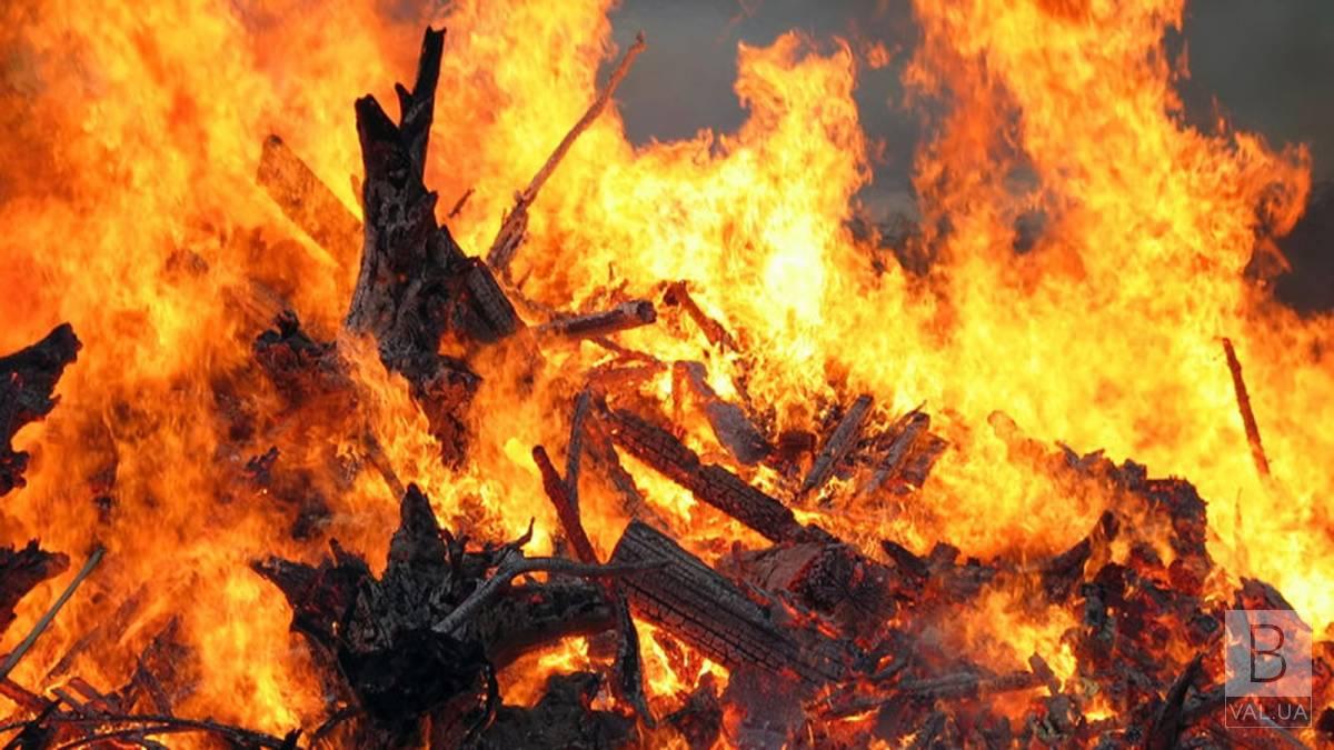На Козелеччині у пожежі загинув 91-річний чоловік