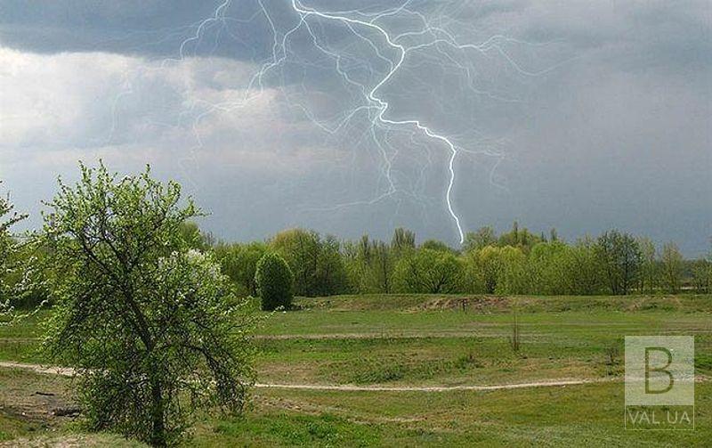 В Чернигове молния попала в дерево