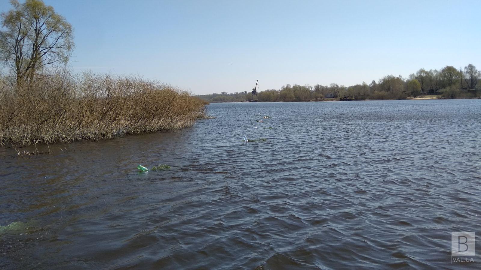 На Чернігівщині риба обживає штучні нерестовища ВІДЕО