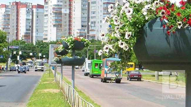 На вулиці Чернігова повертаються термочаші з квітами 