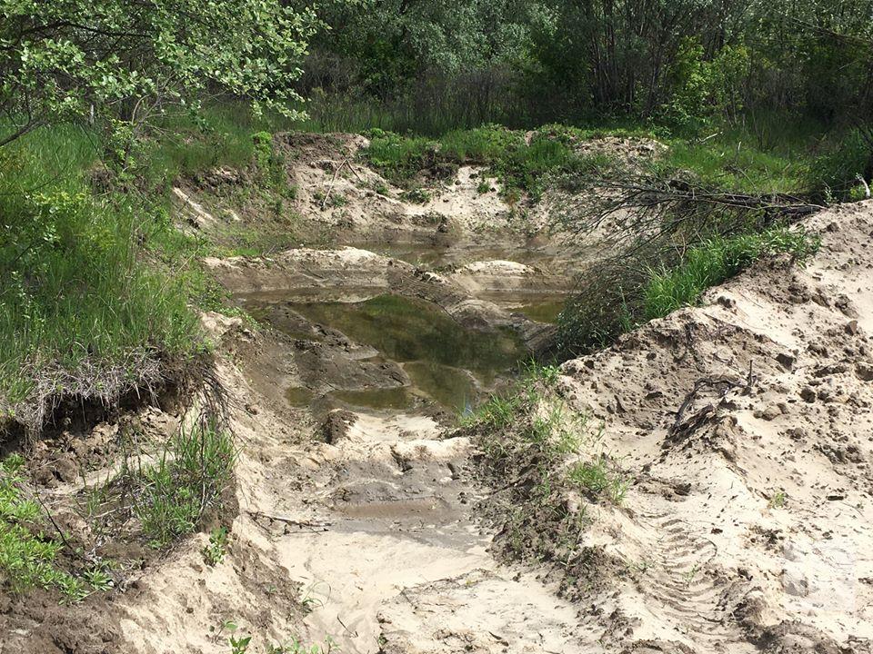 На Чернігівщині екологи виявили кар'єр, де незаконно добували пісок в промислових масштабах. ФОТО