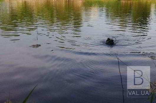 Біля Количівки в Десні потонув 28-річний чернігівець