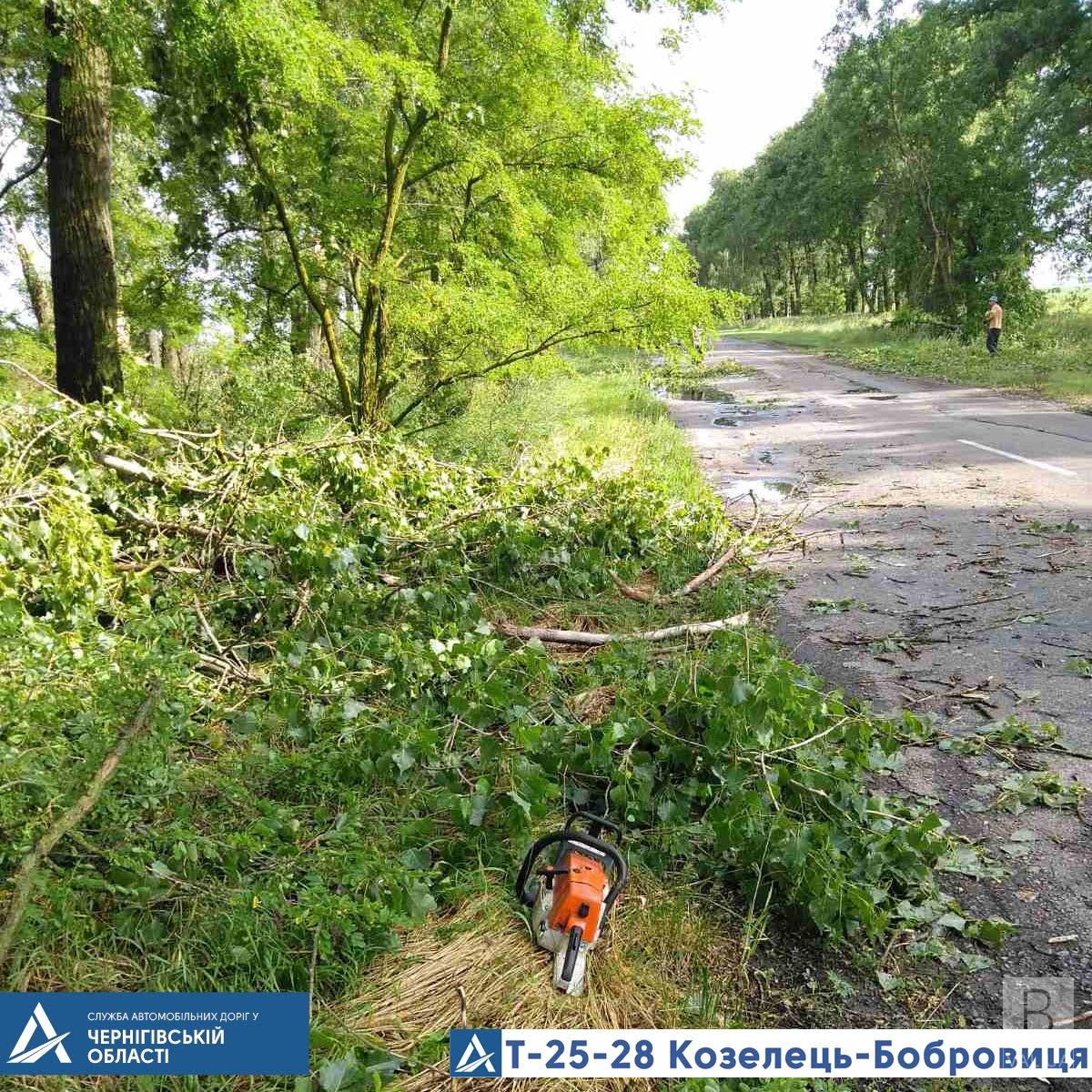 На дороге Козелец-Бобровица дорожники боролись с последствиями урагана. ФОТО