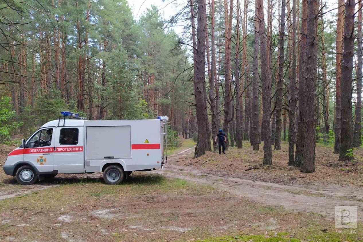 На Чернігівщині грибники знайшли в лісі мінометну міну. ФОТО
