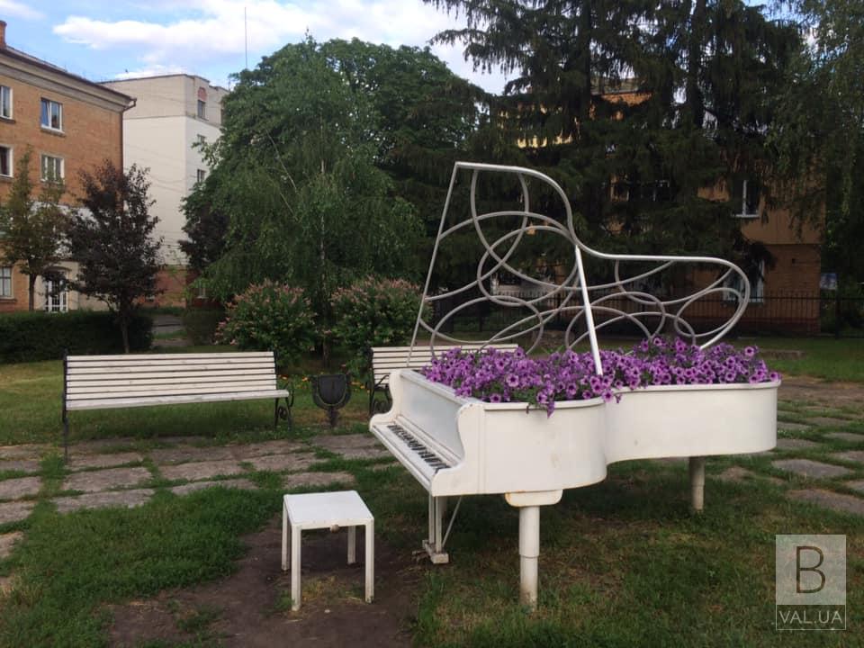 В Чернигове цветет рояль. ФОТОфакт